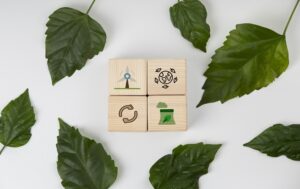 Top Eco-Friendly Corporate Gift Ideas for Sustainable Business Branding in 2026