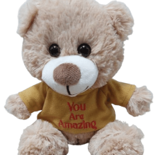 Custom Personalised Teddy Bears