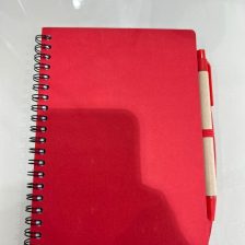 Customize diary and pen