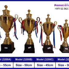 Custom trophies in Dubai